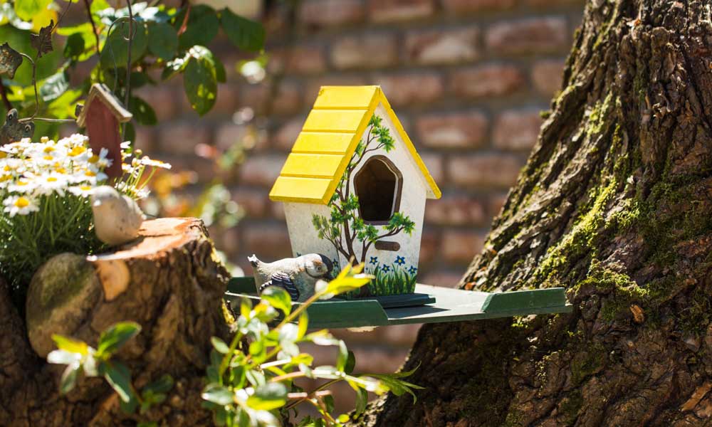 Greenline Guest House Ortak Alanlar ve Bahçe